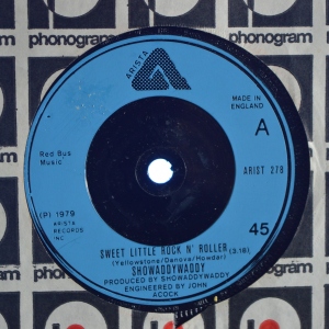 Sweet Little Rock 'N' Roller Image