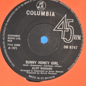 Sunny Honey Girl Image