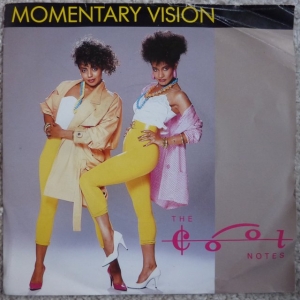 Momentary Vision Image