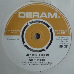 Step Into A Dream Image