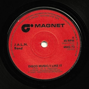 Disco Music / I Like It Image