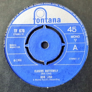 Elusive Butterfly Image