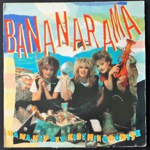 Na Na Hey Hey Kiss Him Goodbye Image