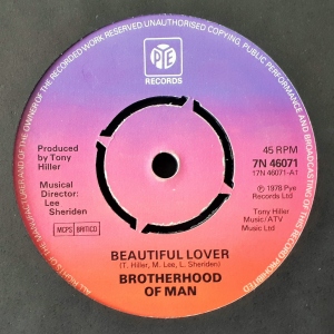 Beautiful Lover Image