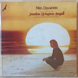 Jonathan Livingston Seagull Image