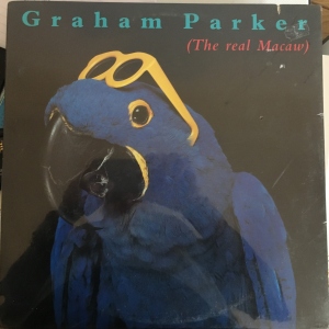 The Real Macaw Image