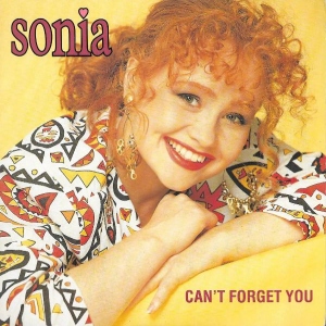 Can't Forget You Image