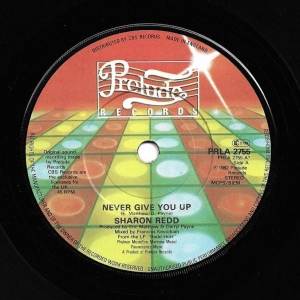 Never Give You Up Image