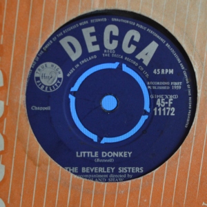 Little Donkey Image