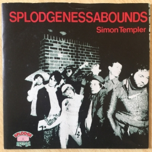Simon Templer Image