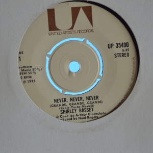 Never, Never, Never (Grande, Grande, Grande) Image