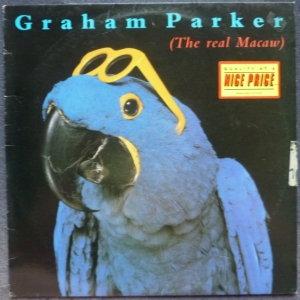The Real Macaw Image