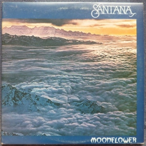 Moonflower Image