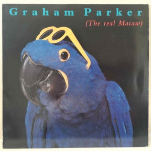 The Real Macaw Image