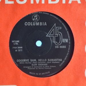 Goodbye Sam, Hello Samantha Image