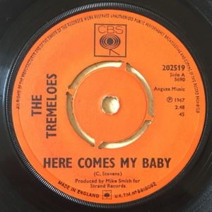 Here Comes My Baby Image
