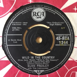 Wild In The Country Image
