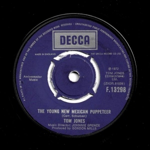 The Young New Mexican Puppeteer Image