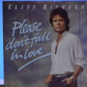 Please Don't Fall In Love Image