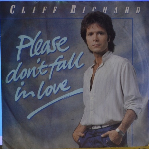 Please Don't Fall In Love Image