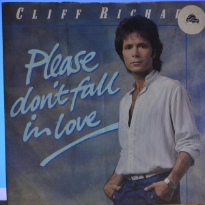Please Don't Fall In Love Image