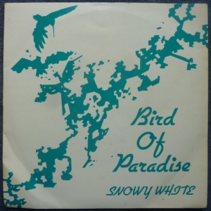 Bird Of Paradise Image