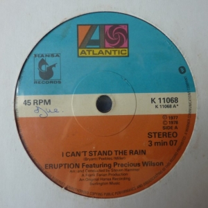 I Can't Stand The Rain Image