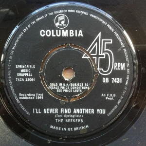 I'll Never Find Another You Image