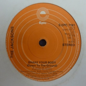 Shake Your Body (Down To The Ground) Image