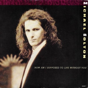 How Am I Supposed To Live Without You Image