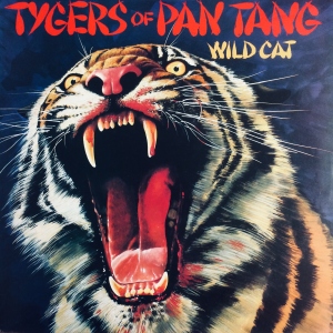 Wild Cat Image