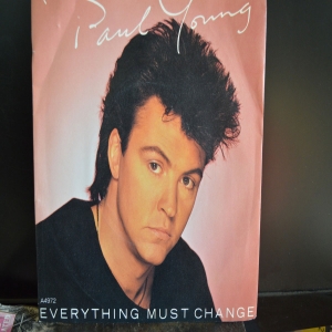 Everything Must Change Image