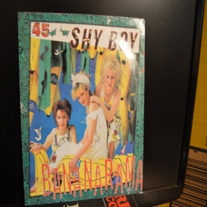 Shy Boy Image