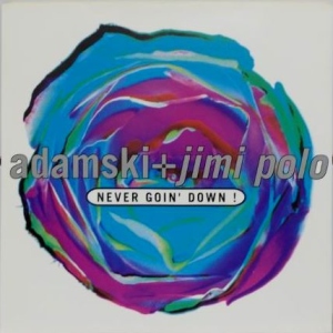 Never Goin' Down Image