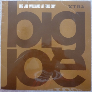 Big Joe Williams At Folk City Image