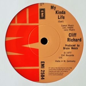 My Kinda Life Image