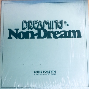 Dreaming In The Non-Dream Image