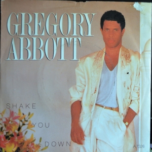 Shake You Down Image