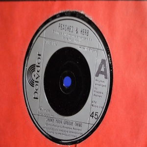 Shake Your Groove Thing Image