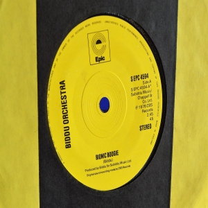 Bionic Boogie Image