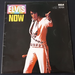 Elvis Now Image