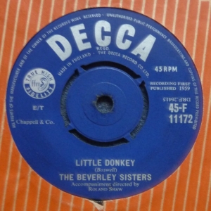 Little Donkey Image