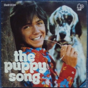 Daydreamer / The Puppy Song Image