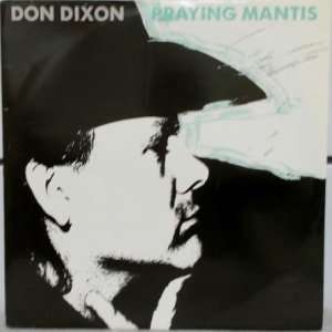 Praying Mantis Image