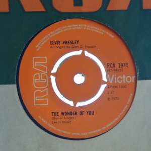 The Wonder Of You Image
