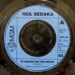 Standing On The Inside Image