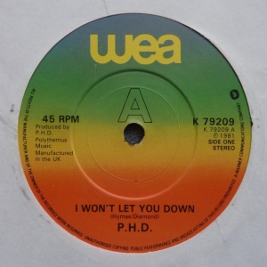 I Won't Let You Down Image