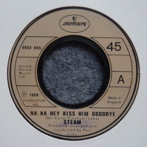 Na Na Hey Kiss Him Goodbye Image
