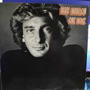 One Voice Image