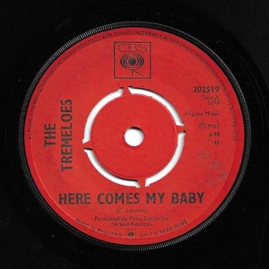 Here Comes My Baby Image
